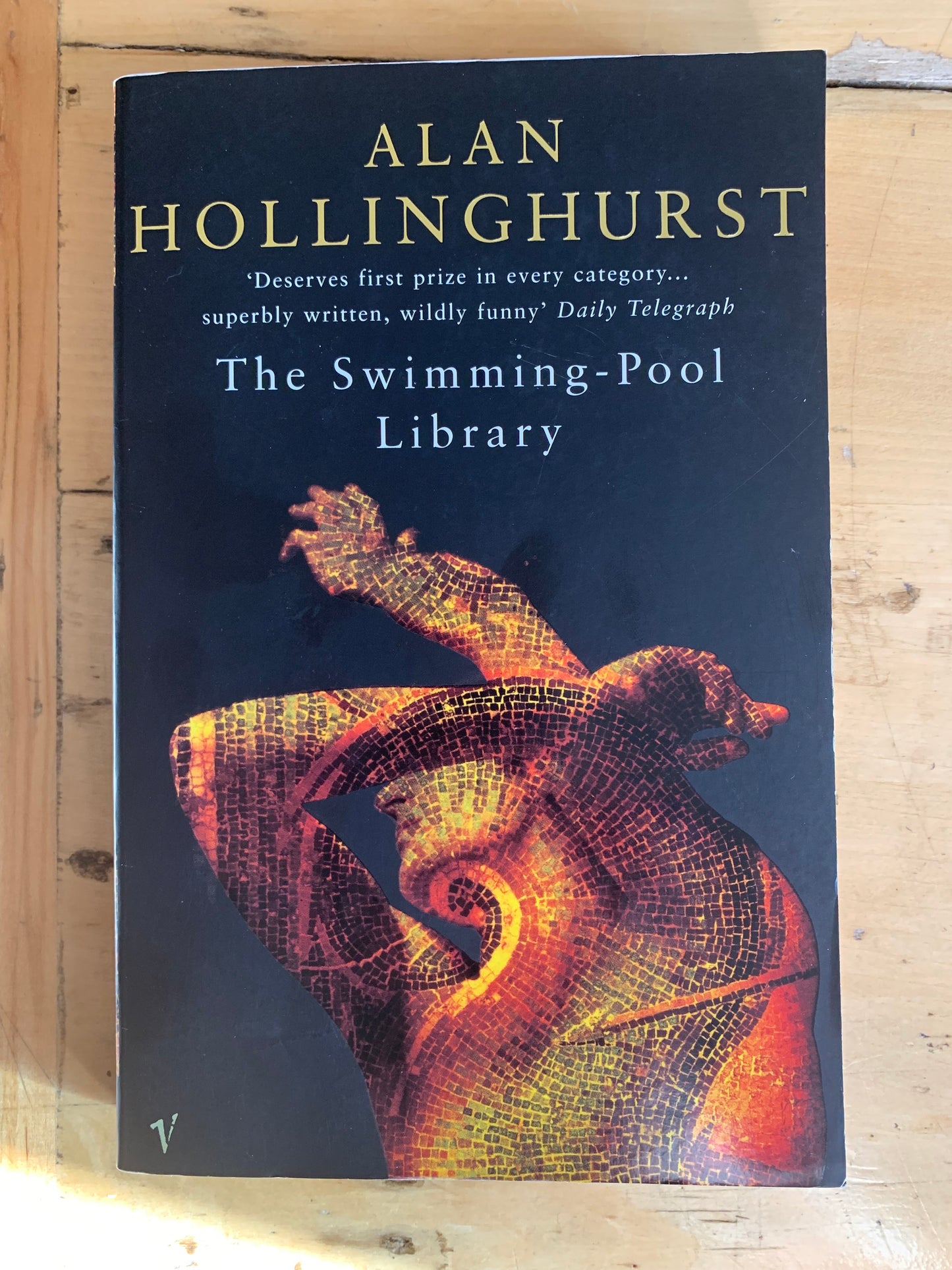 The Swimming Pool Library by Alan Hollinghurst