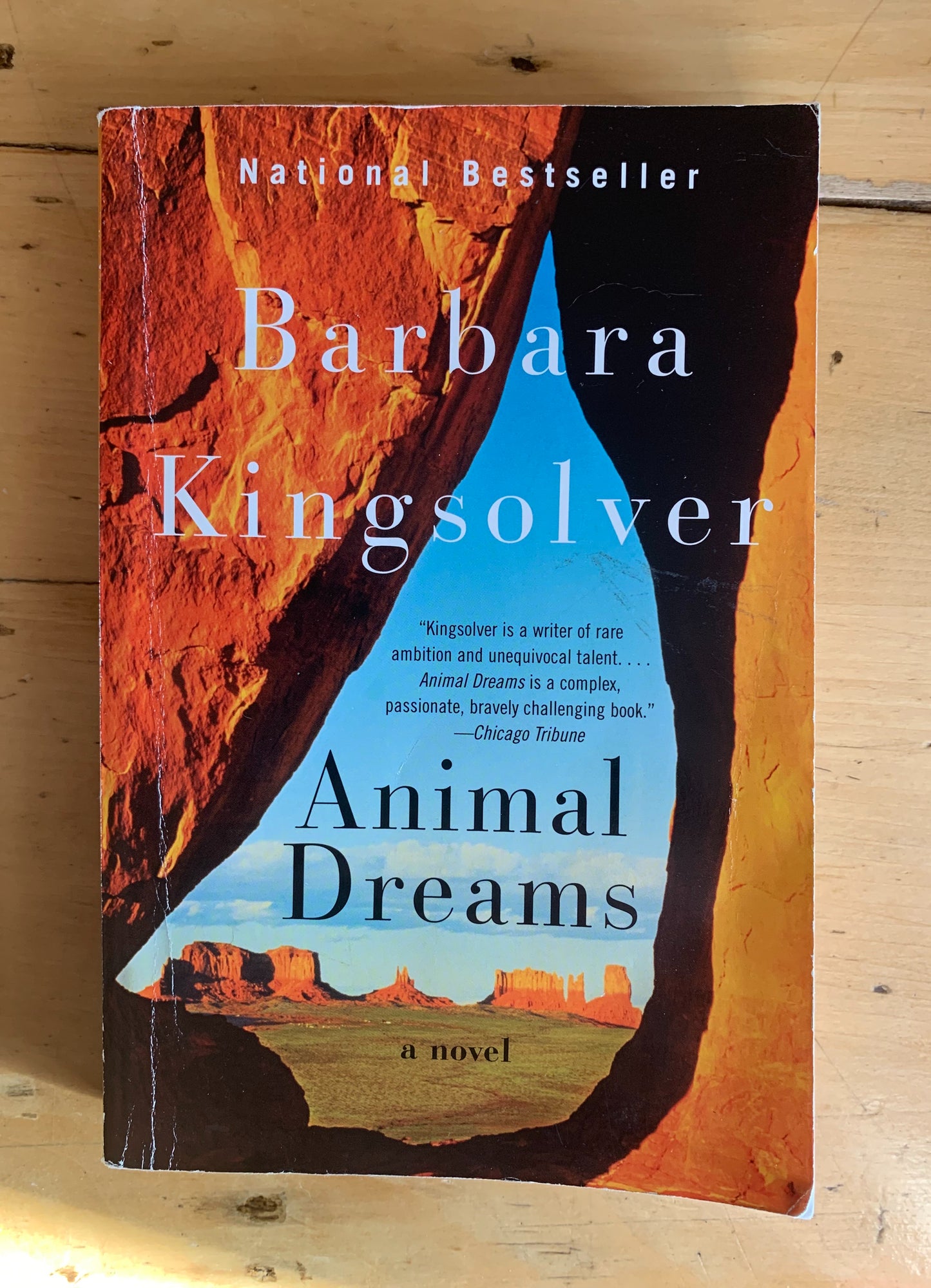 Animal Dreams by Barbara Kingsolver
