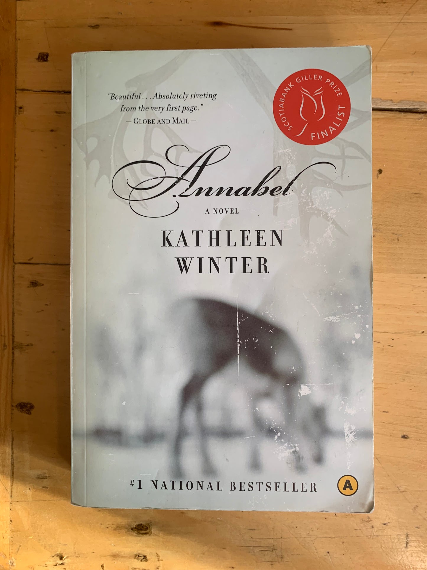 Annabel by Kathleen Winters