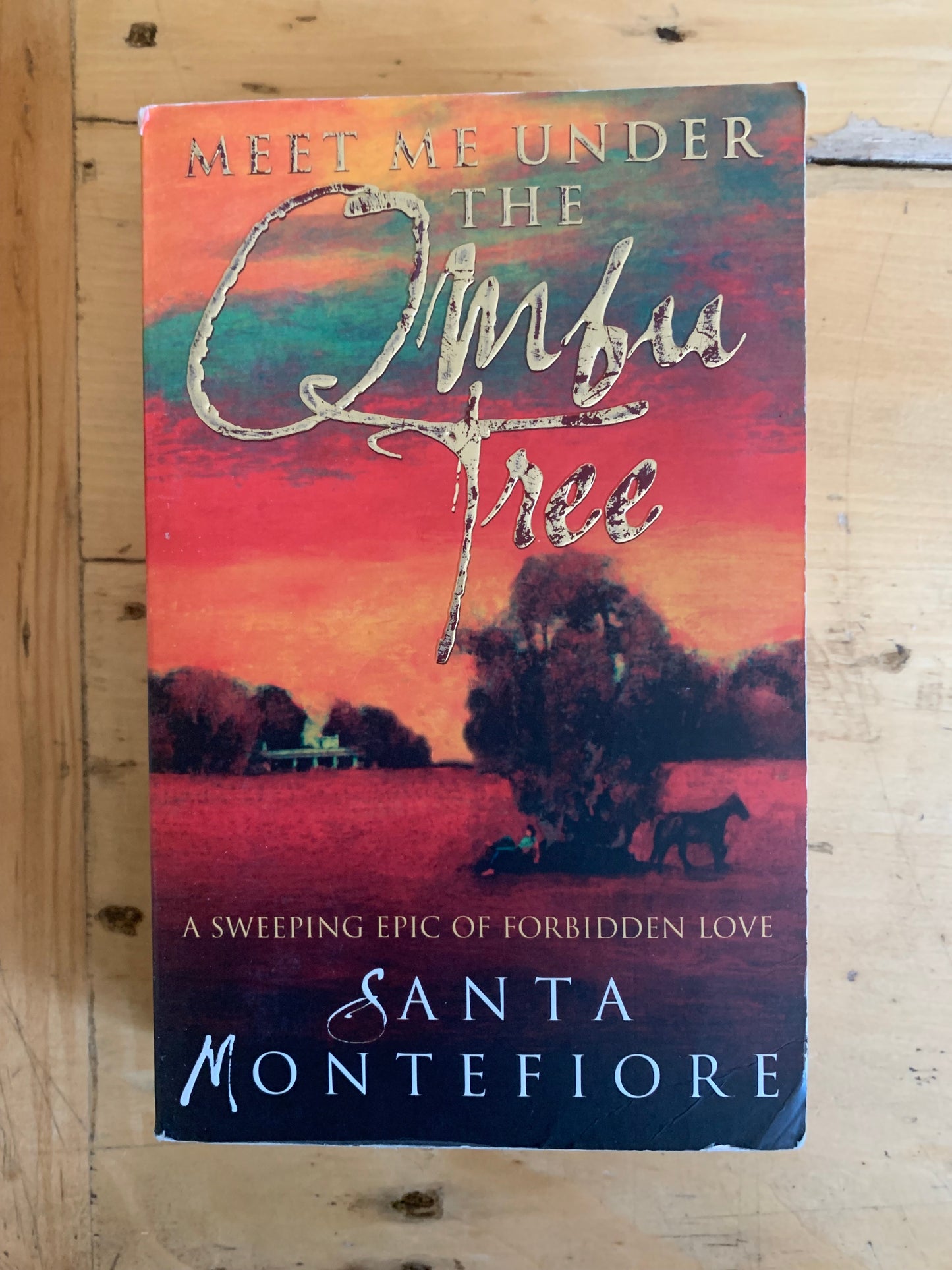 Meet Me Under the Ombu Tree by Santa Montefiore