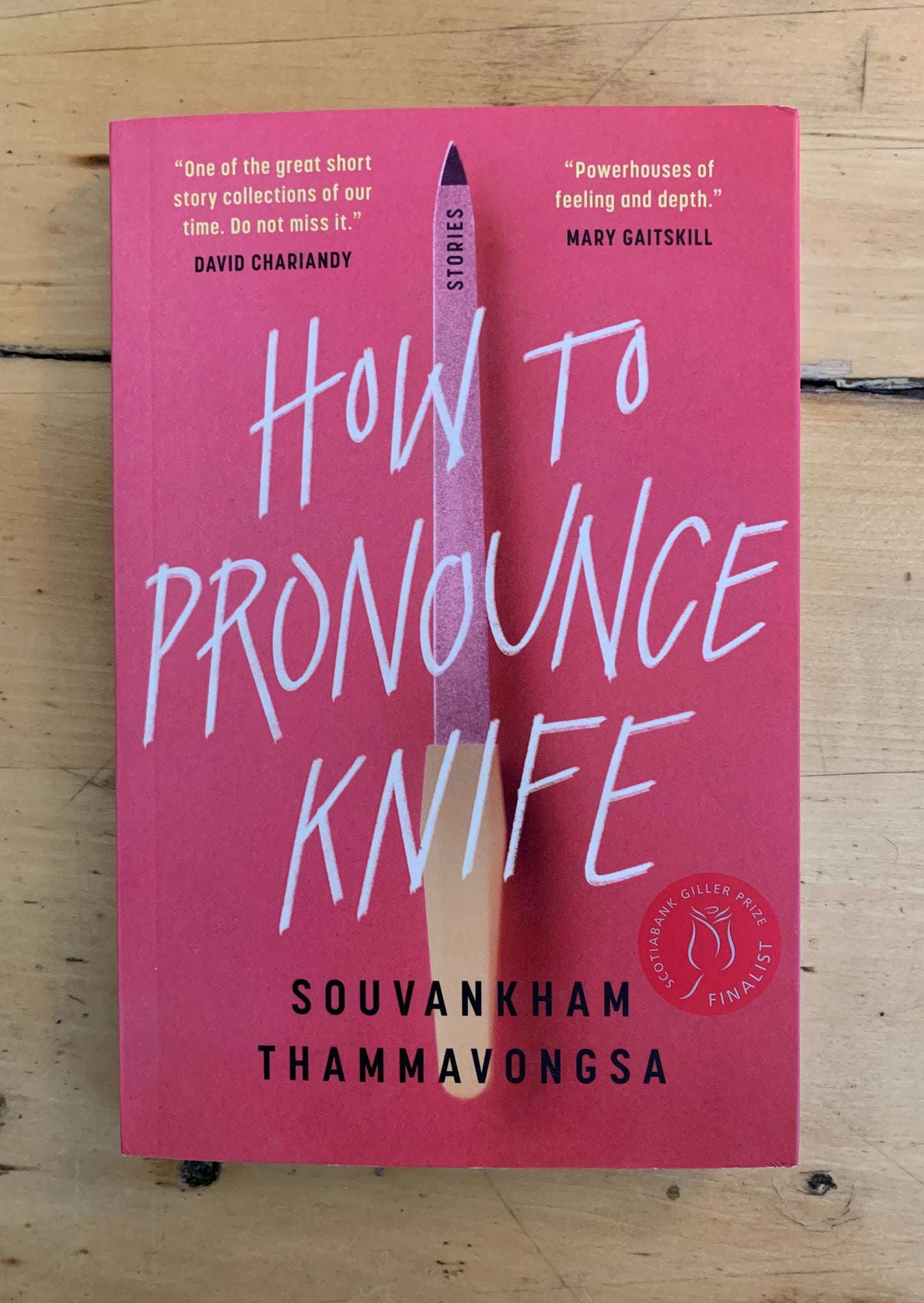 How to Pronounce Knife by Souvankham Thammavongsa