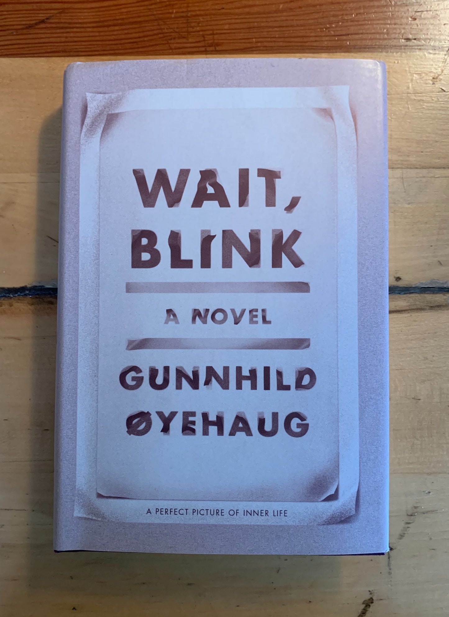 Wait, Blink by Gunnhild Øyehaug, Kari Dickson (Translator)