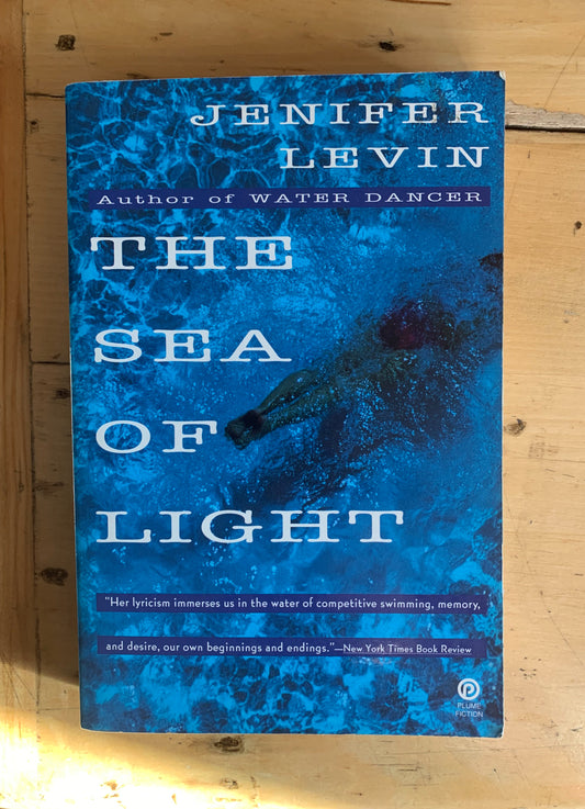The Sea of Light by Jenifer Levin