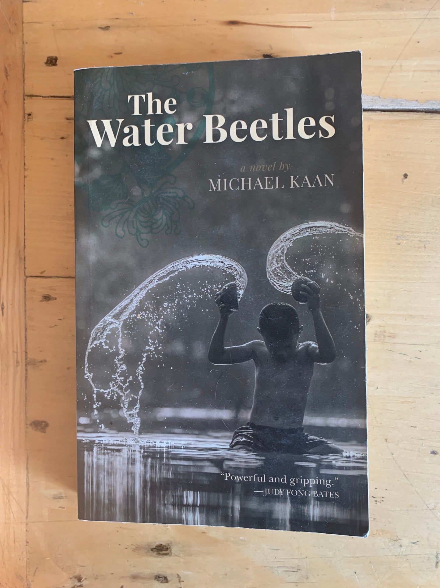 The Water Beetles by Michael Kaan
