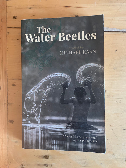 The Water Beetles by Michael Kaan