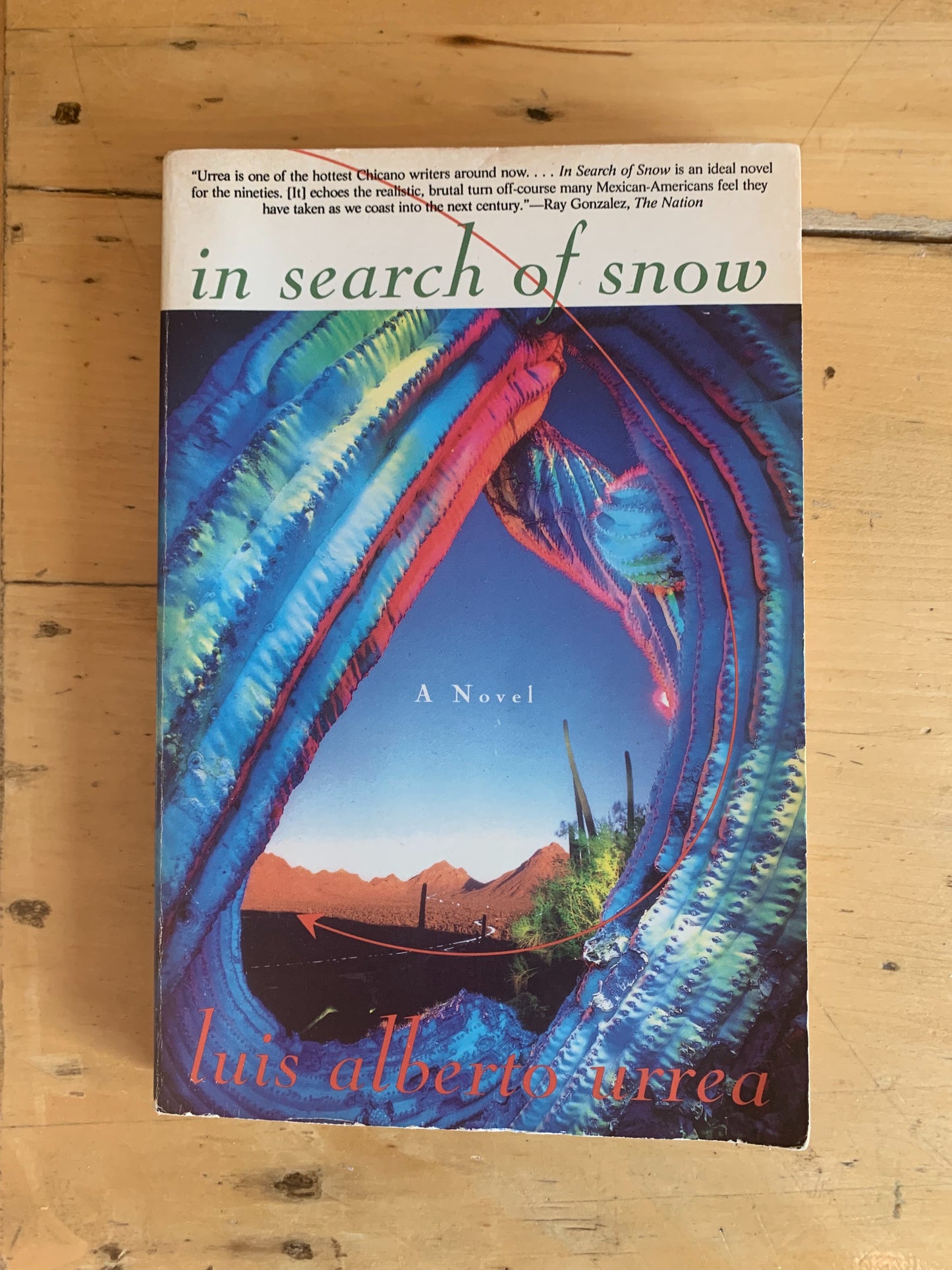 In Search of Snow by Luis Alberto Urrea