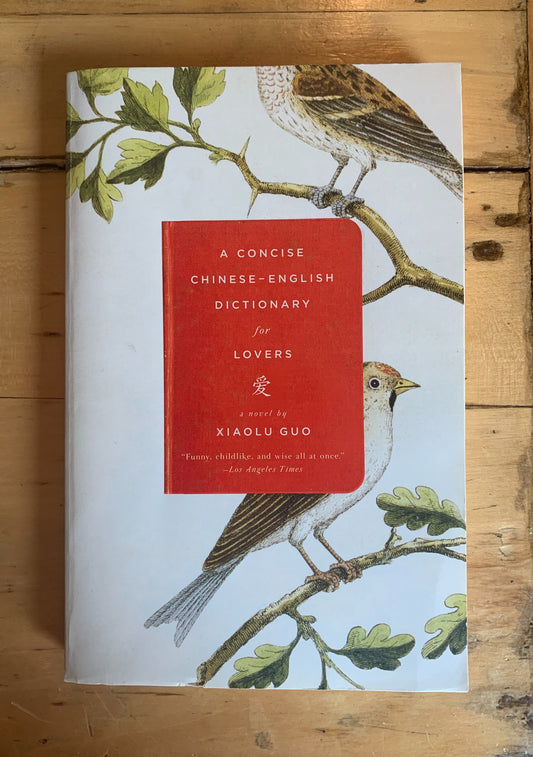 A Concise Chinese-English Dictionary for Lovers by Xiaolu Guo