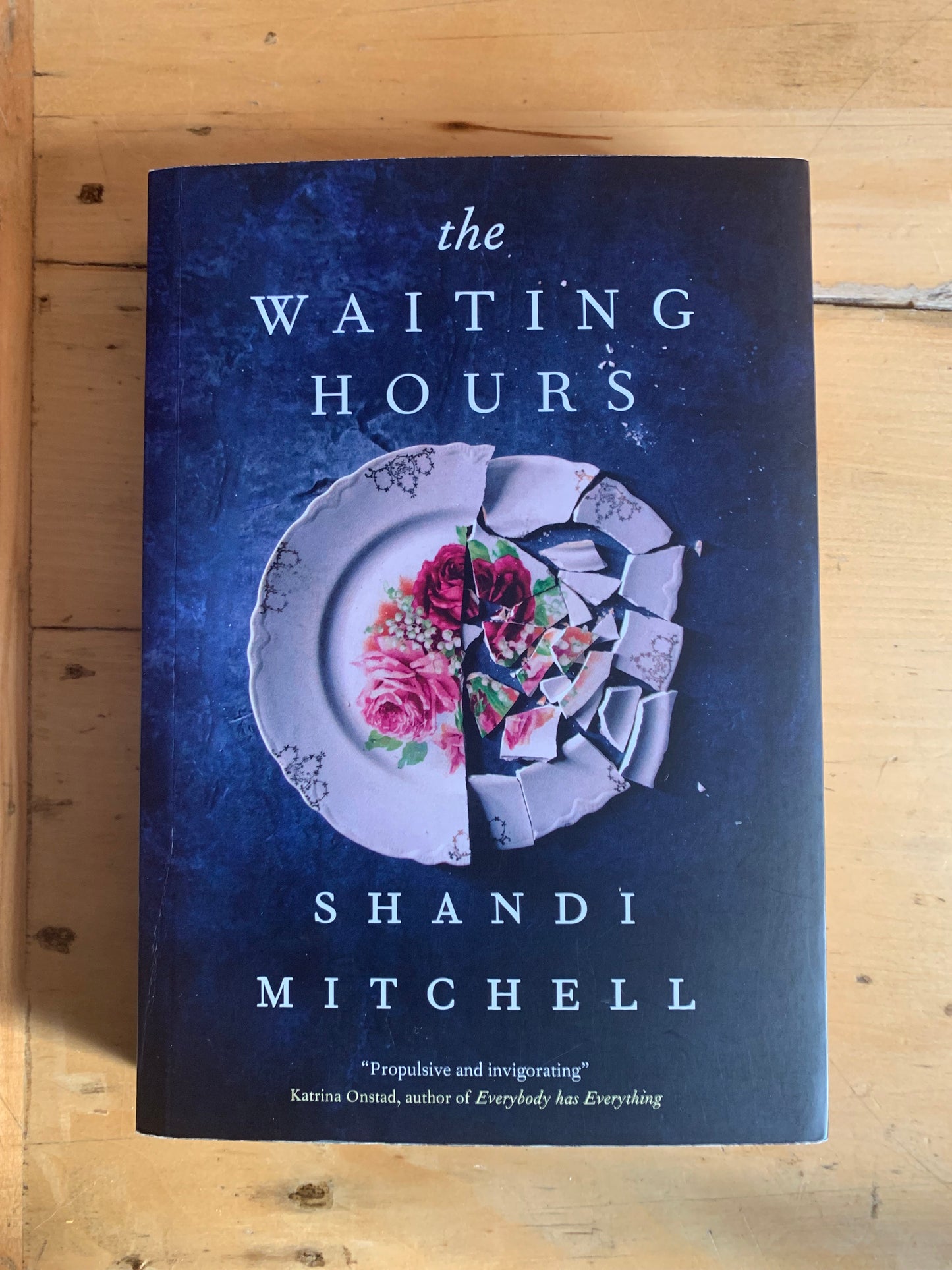 The Waiting Hours by Shandi Mitchell