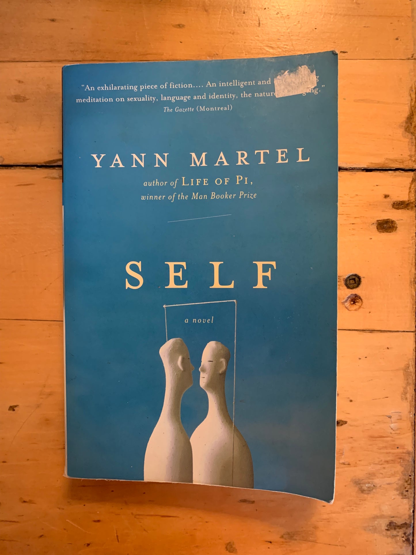 Self by Yann Martel