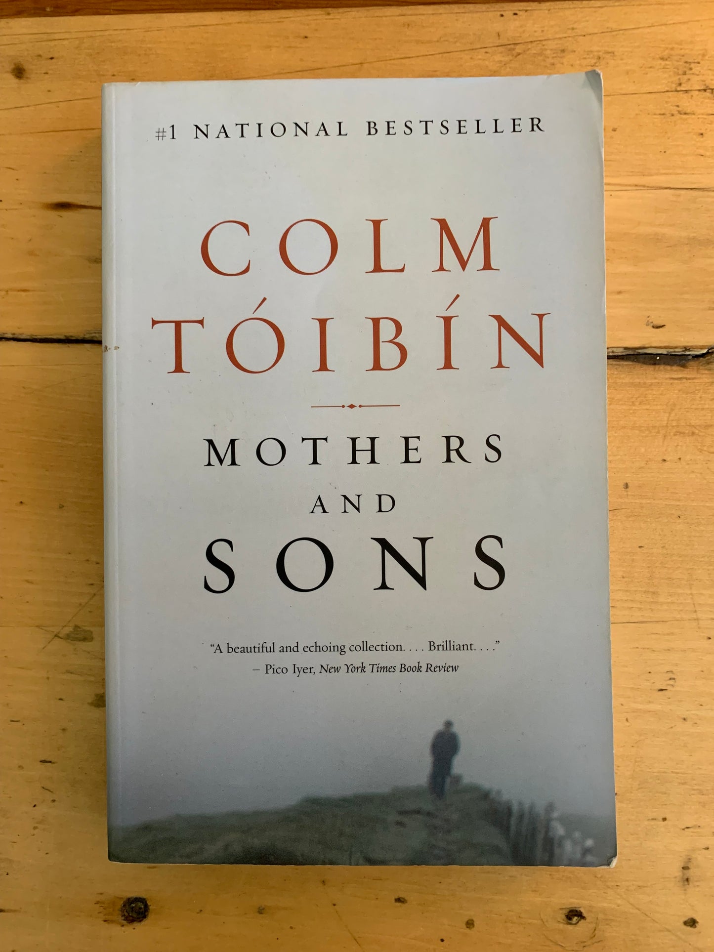 Mothers and Sons by Colm Tóibín