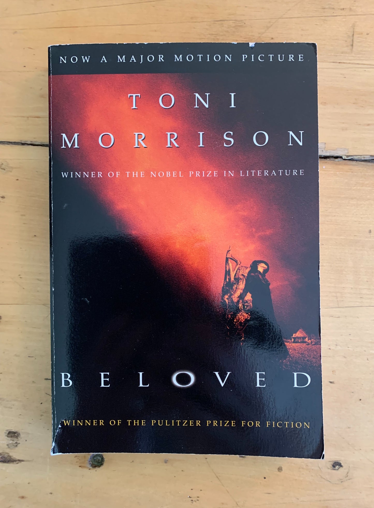 Beloved by Toni Morrison