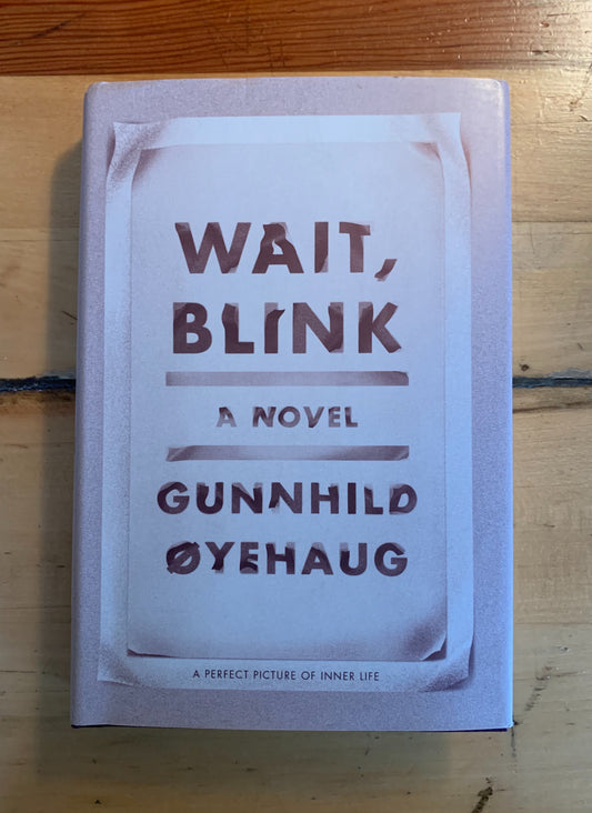 Wait, Blink by Gunnhild Øyehaug, Kari Dickson (Translator)
